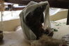 Filename=20210808_136.jpg
Filesize=291KiB
Dimensions=2048x1365
Date added=Dec 30, 2021 20210808_136.jpg
