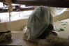 Filename=20210808_137.jpg
Filesize=289KiB
Dimensions=2048x1365
Date added=Dec 30, 2021 20210808_137.jpg