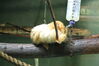 Filename=20210808_141.jpg
Filesize=334KiB
Dimensions=2048x1365
Date added=Dec 30, 2021 20210808_141.jpg