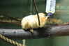 Filename=20210808_142.jpg
Filesize=328KiB
Dimensions=2048x1365
Date added=Dec 30, 2021 20210808_142.jpg
