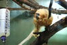 Filename=20210808_143.jpg
Filesize=290KiB
Dimensions=2048x1365
Date added=Dec 30, 2021 20210808_143.jpg