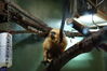 Filename=20210808_144.jpg
Filesize=277KiB
Dimensions=2048x1365
Date added=Dec 30, 2021 20210808_144.jpg
