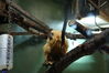Filename=20210808_145.jpg
Filesize=265KiB
Dimensions=2048x1365
Date added=Dec 30, 2021 20210808_145.jpg