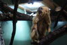 Filename=20210808_146.jpg
Filesize=231KiB
Dimensions=2048x1365
Date added=Dec 30, 2021 20210808_146.jpg