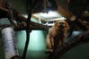 Filename=20210808_147.jpg
Filesize=239KiB
Dimensions=2048x1365
Date added=Dec 30, 2021 20210808_147.jpg