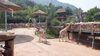 Filename=20210808_167.jpg
Filesize=670KiB
Dimensions=2048x1152
Date added=Dec 30, 2021 20210808_167.jpg