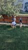 Filename=20210905_003.jpg
Filesize=852KiB
Dimensions=1152x2048
Date added=Jan 04, 2022 20210905_003.jpg
