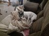 Filename=20210907_001.jpg
Filesize=512KiB
Dimensions=2048x1536
Date added=Jan 04, 2022 20210907_001.jpg
