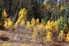 Filename=20211003_001.jpg
Filesize=1084KiB
Dimensions=2048x1365
Date added=Jan 10, 2022 20211003_001.jpg