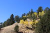 Filename=20211003_002.jpg
Filesize=555KiB
Dimensions=2048x1365
Date added=Jan 10, 2022 20211003_002.jpg