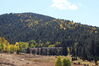 Filename=20211003_005.jpg
Filesize=562KiB
Dimensions=2048x1365
Date added=Jan 10, 2022 20211003_005.jpg