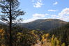 Filename=20211003_008.jpg
Filesize=586KiB
Dimensions=2048x1365
Date added=Jan 10, 2022 20211003_008.jpg