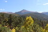 Filename=20211003_009.jpg
Filesize=502KiB
Dimensions=2048x1365
Date added=Jan 10, 2022 20211003_009.jpg