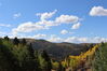 Filename=20211003_012.jpg
Filesize=406KiB
Dimensions=2048x1365
Date added=Jan 10, 2022 20211003_012.jpg