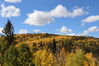 Filename=20211003_018.jpg
Filesize=542KiB
Dimensions=2048x1365
Date added=Jan 10, 2022 20211003_018.jpg