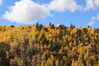 Filename=20211003_019.jpg
Filesize=755KiB
Dimensions=2048x1365
Date added=Jan 10, 2022 20211003_019.jpg