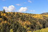 Filename=20211003_020.jpg
Filesize=683KiB
Dimensions=2048x1365
Date added=Jan 10, 2022 20211003_020.jpg