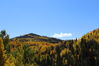 Filename=20211003_024.jpg
Filesize=432KiB
Dimensions=2048x1365
Date added=Jan 10, 2022 20211003_024.jpg