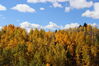 Filename=20211003_025.jpg
Filesize=641KiB
Dimensions=2048x1365
Date added=Jan 10, 2022 20211003_025.jpg