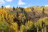 Filename=20211003_026.jpg
Filesize=882KiB
Dimensions=2048x1365
Date added=Jan 10, 2022 20211003_026.jpg