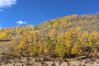Filename=20211003_028.jpg
Filesize=665KiB
Dimensions=2048x1365
Date added=Jan 10, 2022 20211003_028.jpg
