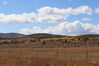 Filename=20211003_031.jpg
Filesize=392KiB
Dimensions=2048x1365
Date added=Jan 10, 2022 20211003_031.jpg