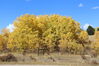 Filename=20211003_034.jpg
Filesize=617KiB
Dimensions=2048x1365
Date added=Jan 10, 2022 20211003_034.jpg
