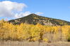 Filename=20211003_035.jpg
Filesize=529KiB
Dimensions=2048x1365
Date added=Jan 10, 2022 20211003_035.jpg