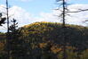 Filename=20211003_036.jpg
Filesize=283KiB
Dimensions=2048x1365
Date added=Jan 10, 2022 20211003_036.jpg