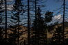 Filename=20211003_037.jpg
Filesize=411KiB
Dimensions=2048x1365
Date added=Jan 10, 2022 20211003_037.jpg