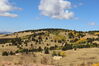 Filename=20211003_040.jpg
Filesize=438KiB
Dimensions=2048x1365
Date added=Jan 10, 2022 20211003_040.jpg