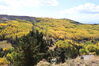 Filename=20211003_043.jpg
Filesize=682KiB
Dimensions=2048x1365
Date added=Jan 10, 2022 20211003_043.jpg