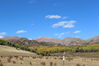 Filename=20211003_051.jpg
Filesize=374KiB
Dimensions=2048x1365
Date added=Jan 10, 2022 20211003_051.jpg