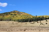 Filename=20211003_052.jpg
Filesize=472KiB
Dimensions=2048x1365
Date added=Jan 10, 2022 20211003_052.jpg