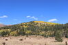 Filename=20211003_054.jpg
Filesize=476KiB
Dimensions=2048x1365
Date added=Jan 10, 2022 20211003_054.jpg