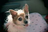 Filename=20211003_055.jpg
Filesize=248KiB
Dimensions=2048x1365
Date added=Jan 10, 2022 20211003_055.jpg