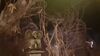 Filename=20211010_004.jpg
Filesize=370KiB
Dimensions=2048x1152
Date added=Jan 10, 2022 20211010_004.jpg
