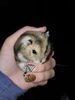 Filename=20211012_001.jpg
Filesize=264KiB
Dimensions=1536x2048
Date added=Aug 28, 2023 20211012_001.jpg