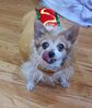 Filename=20211031_001.jpg
Filesize=894KiB
Dimensions=1130x1338
Date added=Jan 10, 2022 20211031_001.jpg