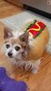 Filename=20211031_003.jpg
Filesize=273KiB
Dimensions=1152x2048
Date added=Jan 10, 2022 20211031_003.jpg
