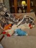 Filename=20211120_001.jpg
Filesize=400KiB
Dimensions=1536x2048
Date added=Aug 28, 2023 20211120_001.jpg