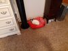 Filename=20211223_001.jpg
Filesize=672KiB
Dimensions=2048x1536
Date added=Sep 18, 2022 20211223_001.jpg