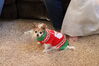 Filename=20211225_006.jpg
Filesize=475KiB
Dimensions=2048x1365
Date added=Sep 18, 2022 20211225_006.jpg