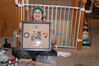 Filename=20211225_010.jpg
Filesize=548KiB
Dimensions=2047x1360
Date added=Sep 18, 2022 20211225_010.jpg