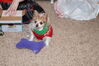 Filename=20211225_012.jpg
Filesize=543KiB
Dimensions=2047x1360
Date added=Sep 18, 2022 20211225_012.jpg