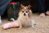 Filename=20211225_051.jpg
Filesize=343KiB
Dimensions=2048x1365
Date added=Sep 18, 2022 20211225_051.jpg
