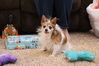 Filename=20211225_078.jpg
Filesize=390KiB
Dimensions=2048x1365
Date added=Sep 18, 2022 20211225_078.jpg