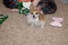 Filename=20211225_083.jpg
Filesize=585KiB
Dimensions=2047x1360
Date added=Sep 18, 2022 20211225_083.jpg