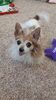 Filename=20211225_084.jpg
Filesize=419KiB
Dimensions=1152x2048
Date added=Sep 18, 2022 20211225_084.jpg