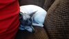 Filename=20211225_136.jpg
Filesize=333KiB
Dimensions=2048x1152
Date added=Sep 18, 2022 20211225_136.jpg